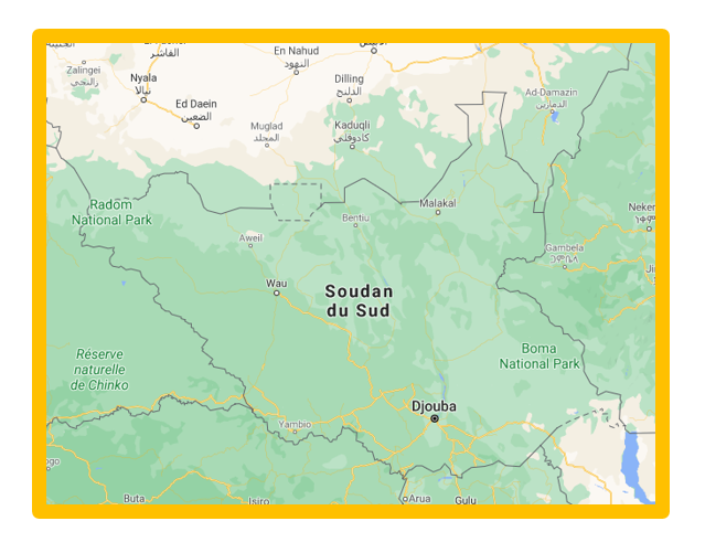 carte du Soudan du Sud